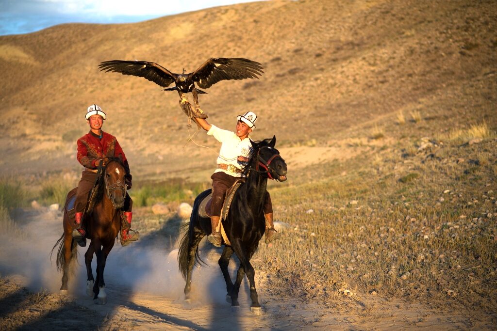 birds in kyrgyzstan